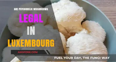 Luxembourg's Psychedelic Mushroom Laws: Legal Status and Regulations Explained