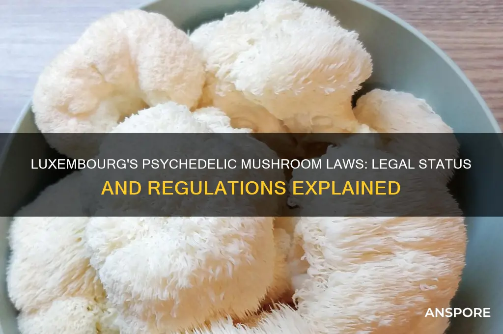 are psychidelic mushrooms legal in luxembourg