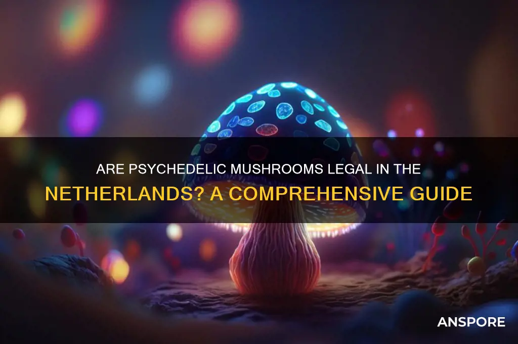are psychidelic mushrooms legal in the netherlands