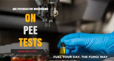 Psychedelic Mushrooms: Do They Show on Drug Tests?