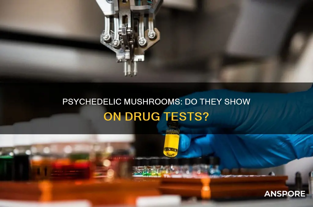 are psychoactive mushrooms on pee tests