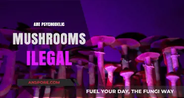 Psychedelic Mushroom Legality: Exploring the Grey Area