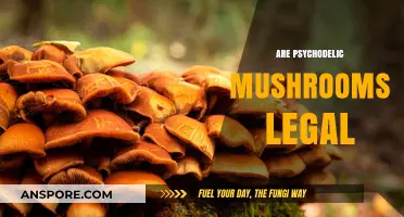 Are Psychedelic Mushrooms Legal? Exploring Global Laws and Trends