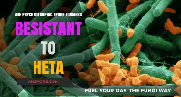 Psychrotrophic Spore Formers: Heat Resistance and Food Safety Concerns