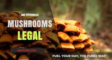 Are Psychedelic Mushrooms Legal? Exploring Global Laws and Trends
