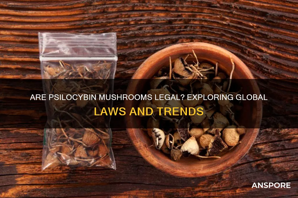 are psylocibin mushrooms legal