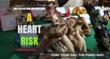 Psychedelic Mushrooms: Heart Risks and Rewards