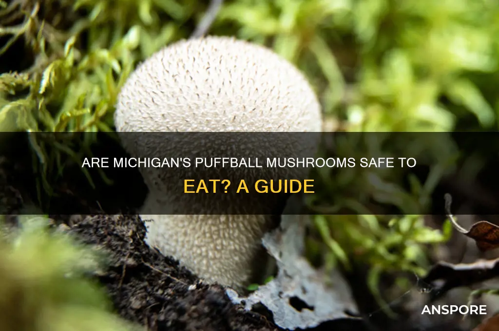 are puffball mushrooms edible here in michigan