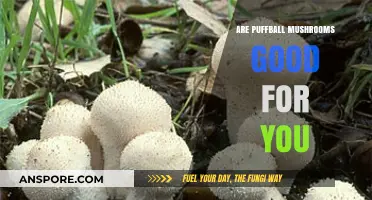 Puffball Mushrooms: Nutritional Benefits and Health Impacts Explained