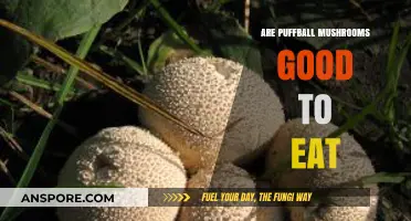 Are Puffball Mushrooms Edible? A Tasty or Toxic Guide