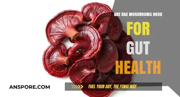 Reishi Mushrooms: Superfood for Gut Health?
