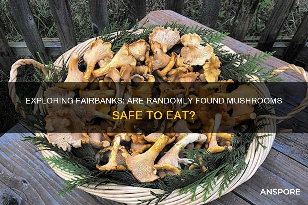 are random mushrooms found in fairbanks edible