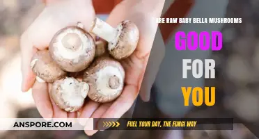 Raw Baby Bella Mushrooms: Nutritional Benefits and Health Impacts Explained