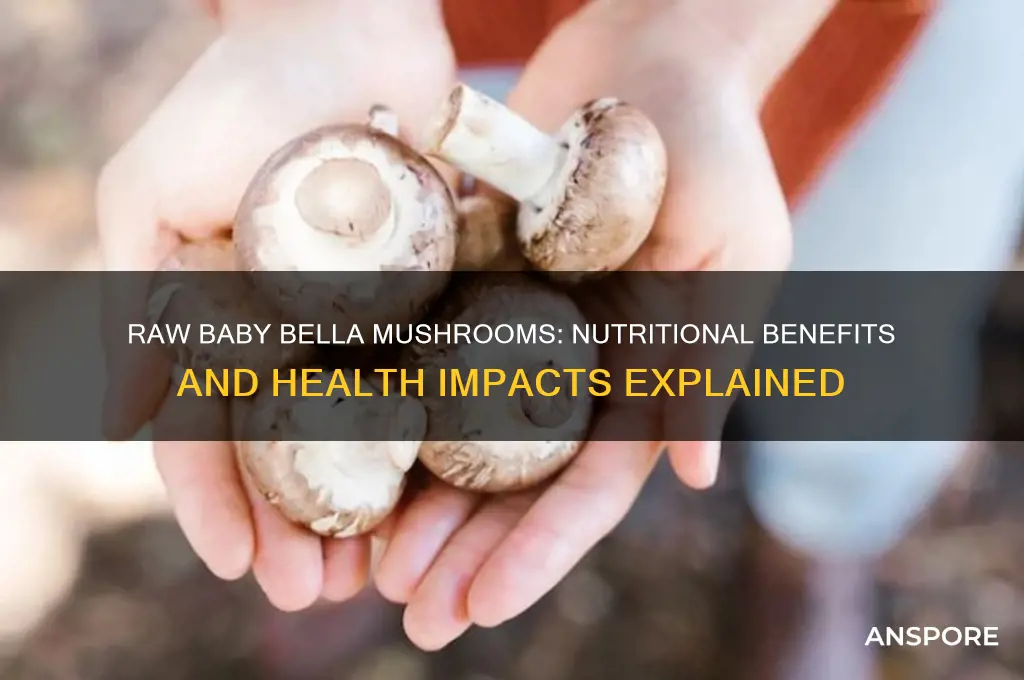 are raw baby bella mushrooms good for you