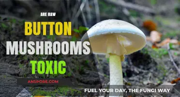Button Mushrooms: Raw Facts on Toxicity