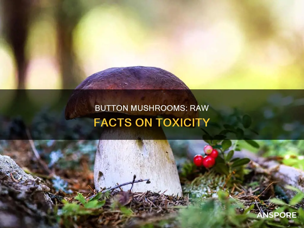 are raw button mushrooms toxic