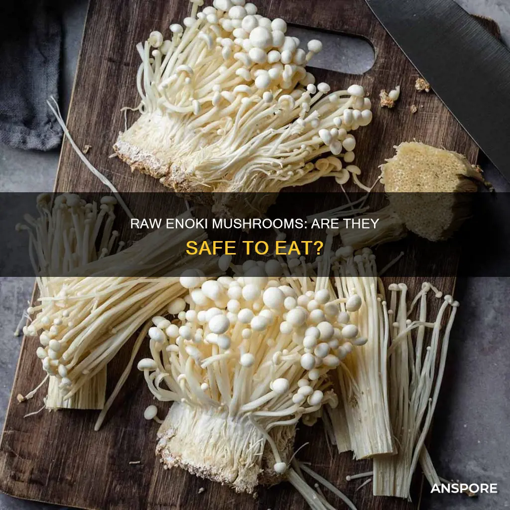 are raw enoki mushrooms dangerous
