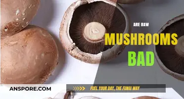 Are Raw Mushrooms Bad? Uncovering the Truth About Eating Them Uncooked