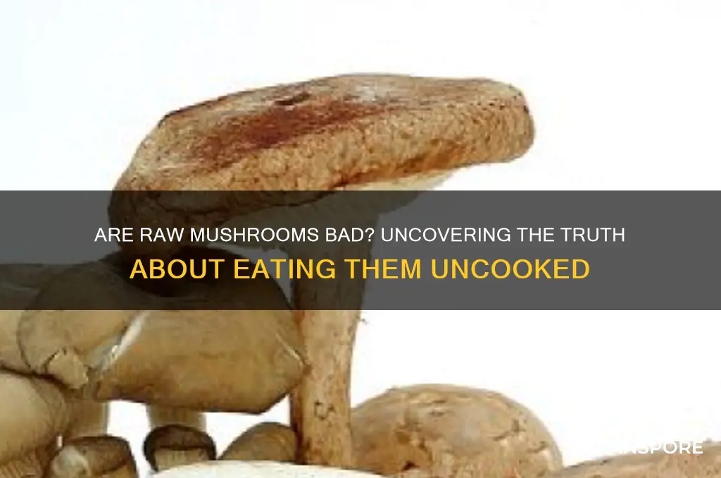are raw mushrooms bad