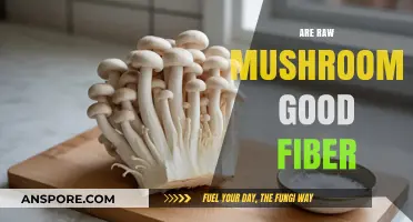 Raw Mushrooms: A Surprising Source of Dietary Fiber Explained