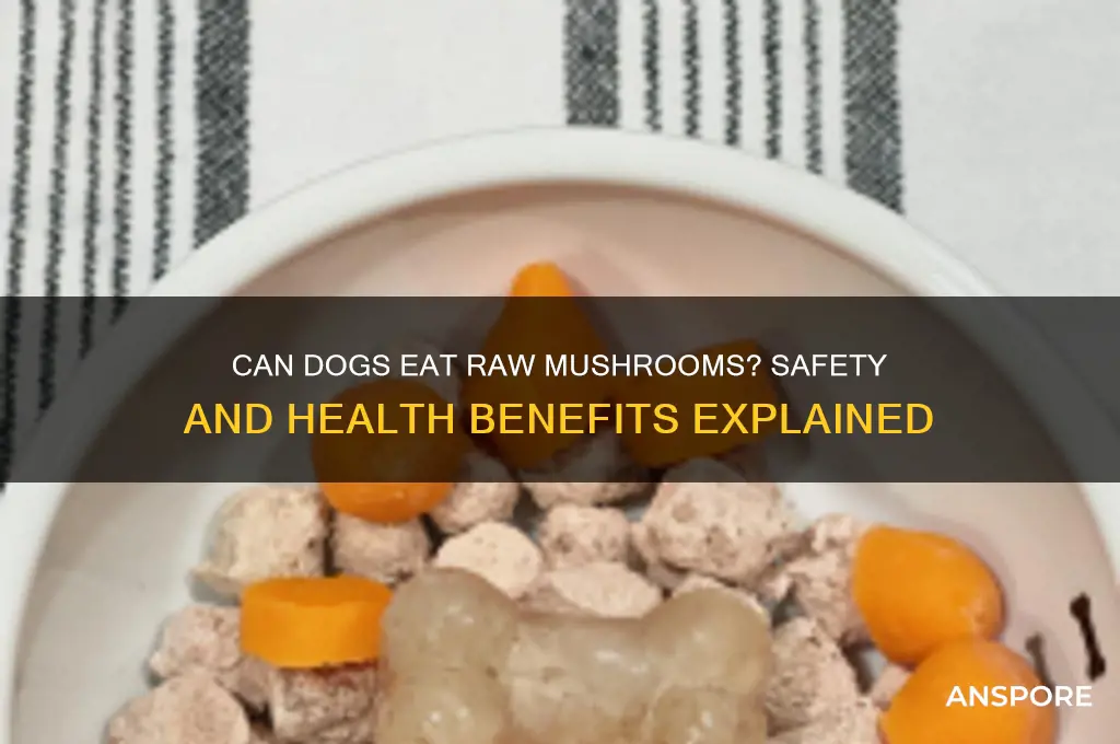 are raw mushrooms good for dogs