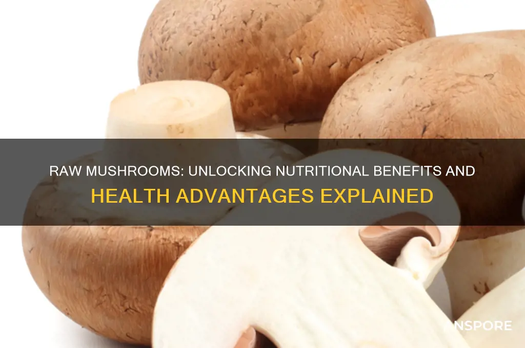 are raw mushrooms good for you