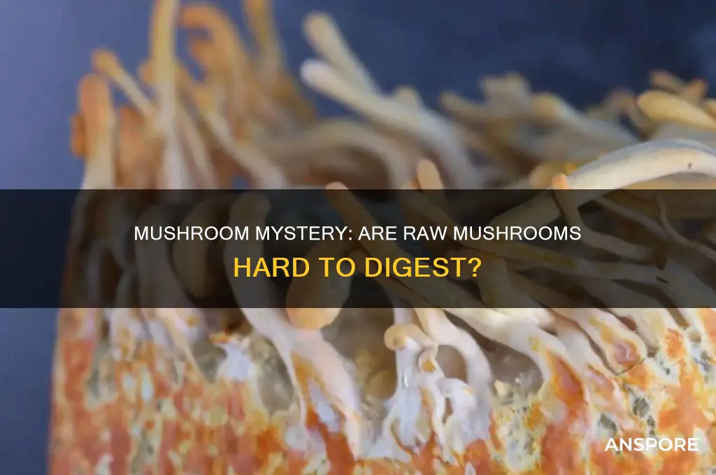 are raw mushrooms hard to digest