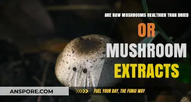 Mushroom Superpowers: Raw, Dried, or Extracted?