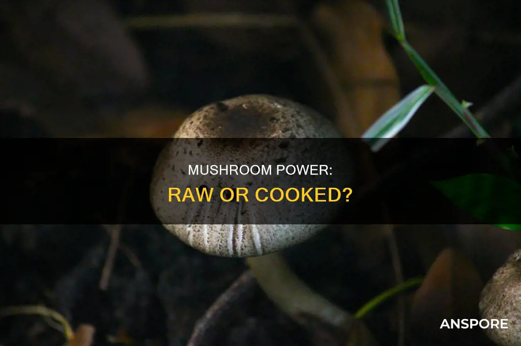 are raw mushrooms healthy for you