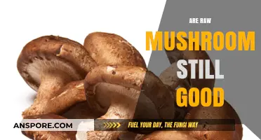 Are Raw Mushrooms Still Good? A Freshness and Safety Guide