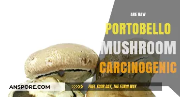 Raw Portobello Mushrooms: Carcinogenic Concerns or Safe to Eat?