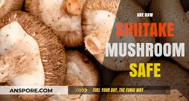 Shiitake Mushrooms: Safe to Eat Raw?