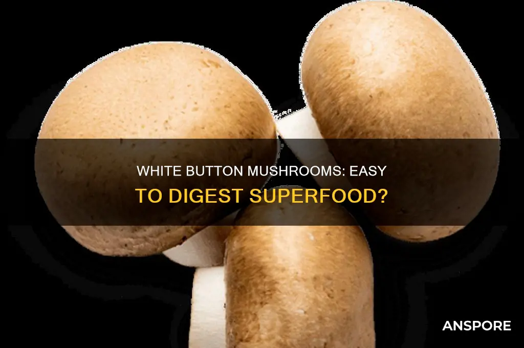 are raw white button mushrooms easily digestible