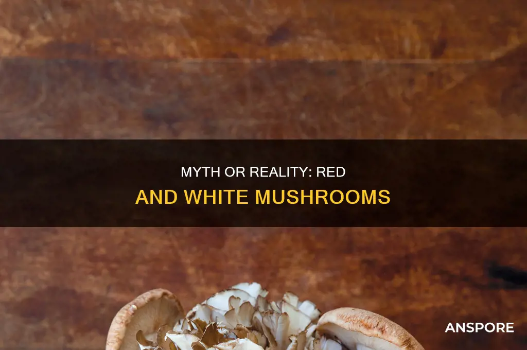 are red and white mushrooms real