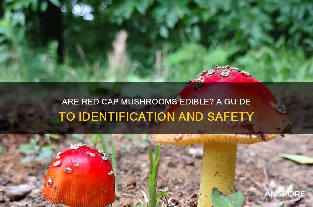 are red cap mushrooms edible