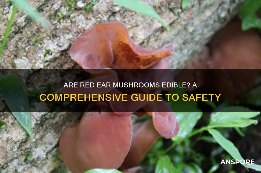 are red ear mushrooms edible