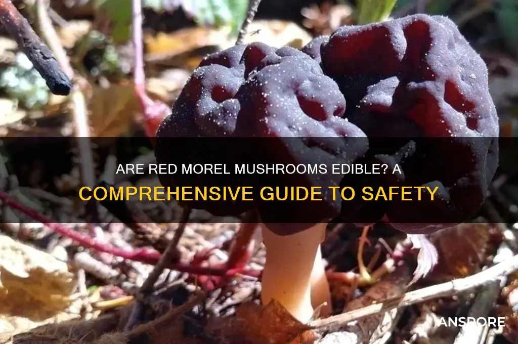 are red morel mushrooms edible
