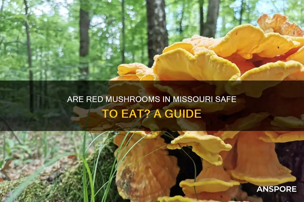 are red mushrooms edible in missouri