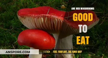 Are Red Mushrooms Edible? A Guide to Safe Consumption