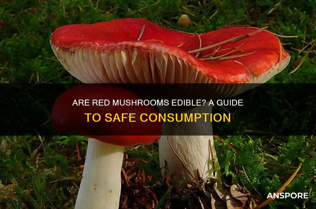 are red mushrooms good to eat