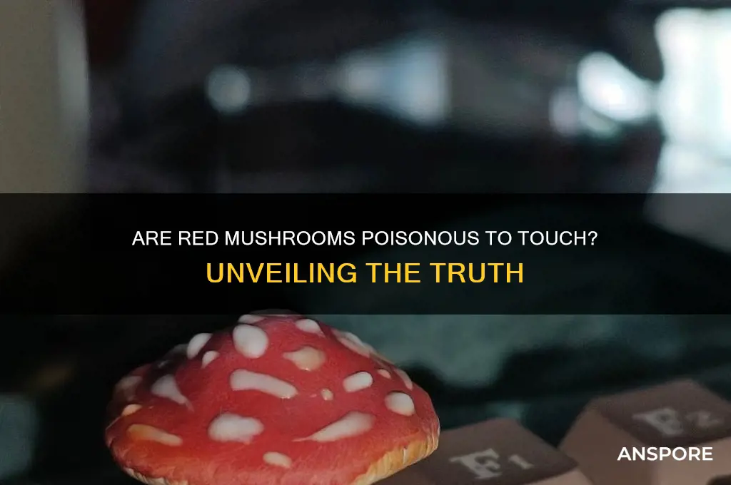 are red mushrooms poisonous to touch