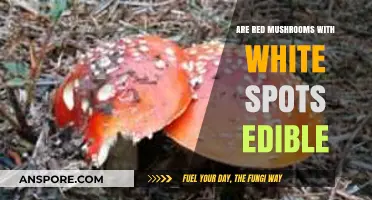 Are Red Mushrooms with White Spots Safe to Eat?
