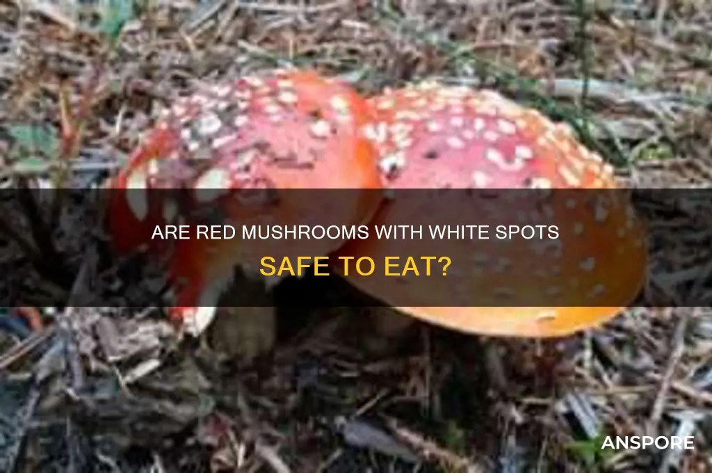 are red mushrooms with white spots edible