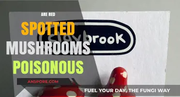 Are Red Spotted Mushrooms Poisonous? A Comprehensive Guide to Identification