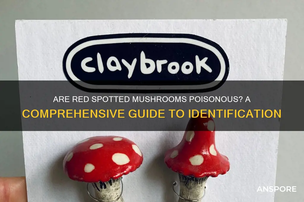 are red spotted mushrooms poisonous