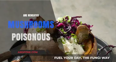 Reheating Mushrooms: Safe Practice or Poisonous Mistake?