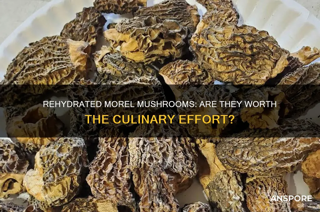 are rehydrated morel mushrooms good