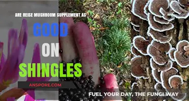 Can Reise Mushroom Supplements Effectively Aid Shingles Recovery?