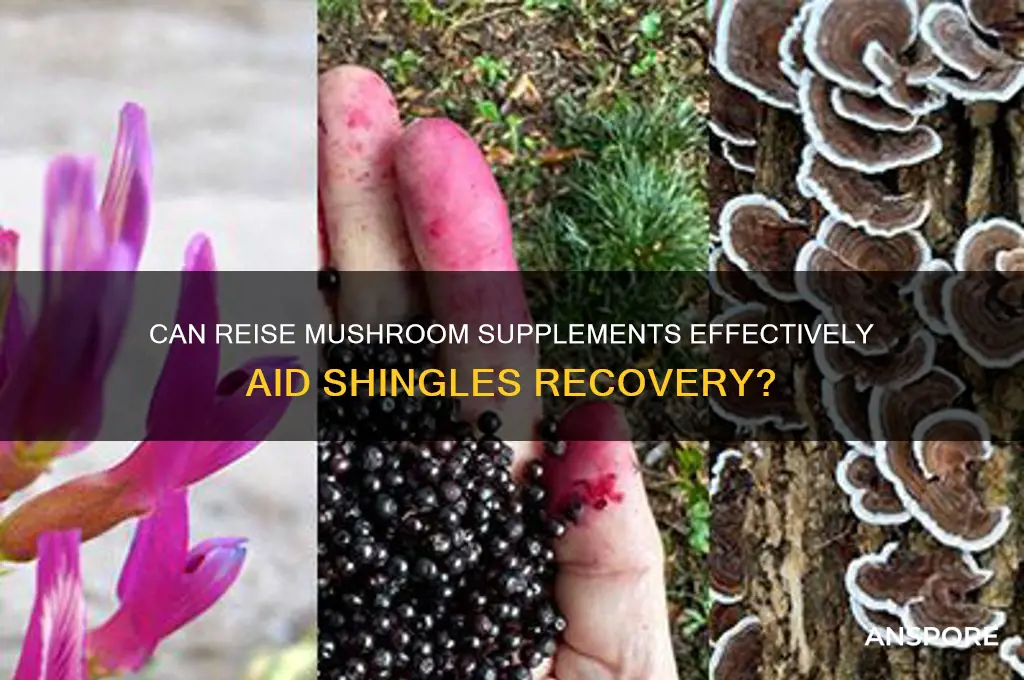 are reise mushroom supplement as good on shingles