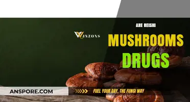Reishi Mushrooms: Medicine or Magic Mushrooms?